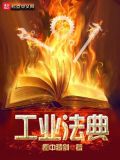 工业法典,商业保险法制定着眼于