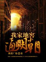 我家地窖通大明