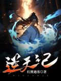 逆天记忆小说