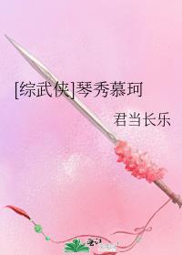 综武侠琴秀慕珂讲的什么