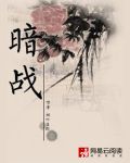 暗战在拂晓之前