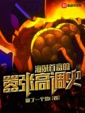 海贼首富的嚣张高调史 小说