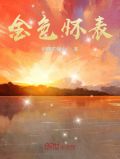 金色的怀表课文
