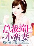 总裁遇上小萌妻小说