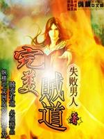 完美盗贼剧情