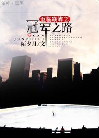 重临巅峰之冠军之路好看吗