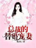 冰山总裁强宠婚免费全文