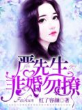 严先生,非婚勿撩 红了容颜