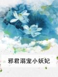 邪君溺宠小妖妃 低眉流光