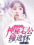 顶级宠婚高冷老公惹不起免费阅读