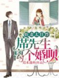 小说席先生是宠妻控