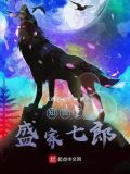 知否之盛家七郎小说