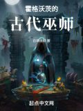 霍格沃茨古代巫师小说