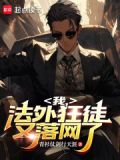 法外狂徒全文阅读