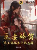 臣妻小说推荐
