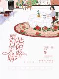 雨过天晴snh