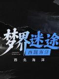 迷途世界