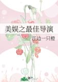 美娱之最佳导演