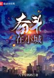 小说奋斗在小城