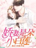 娇妻甜又撩白茶免费阅读