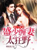 豪门罪妻:盛少缠妻太狂野微盘下载
