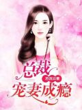 陆氏总裁宠妻成瘾