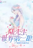 陆先生世界第一甜小说免费