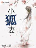 小狐妻小说