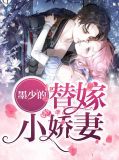墨少的替嫁甜妻洛夕颜