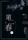 第二春小说