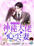 丑女逆袭:神秘大佬心尖妻 月色绵绵