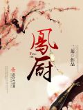 凤厨好太太燃气灶价格