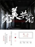 s1完美共存表