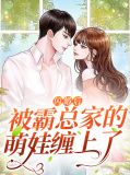 闪婚嫁给霸道总