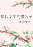 年代文中的贵公子小说