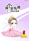 嫁个金龟婿TXT