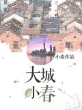 大城小春小说免费阅读无弹窗全文
