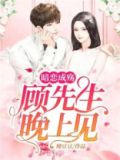 顾先生,我暗恋你