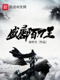 盛唐陌刀王TXT下载