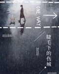 睫毛下的伤城,途经了谁的风光谁的心是什么意思