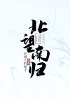 北望南归