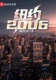 纽约2006