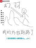 我的外挂跑路了