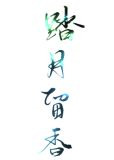 踏月留香[综]