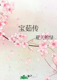 宝茹传