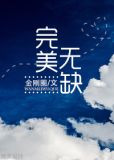 完美无缺