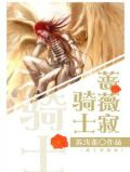 骑士蔷薇寂