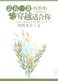 〈综〉总有一款穿越适合你