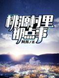 桃源村里那点事