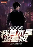 全球震惊！我真不是盗墓贼